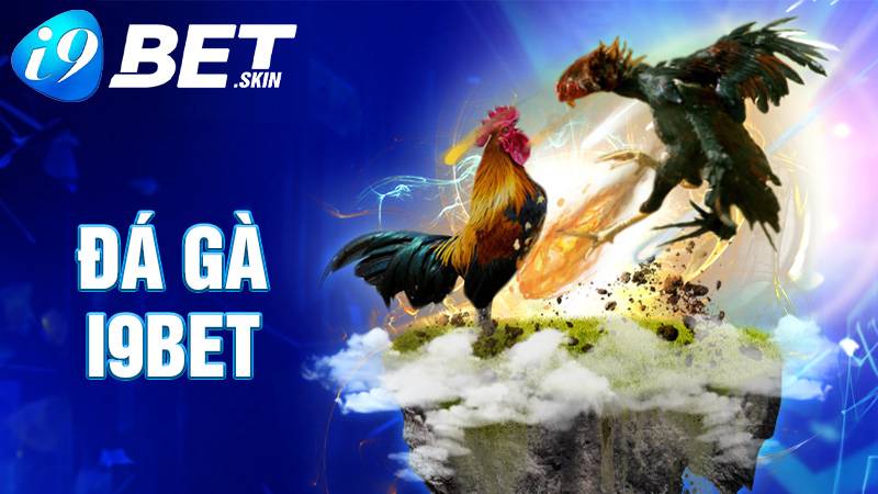 Đá gà i9bet